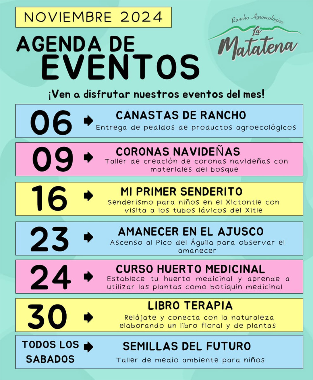 Calendario de actividades